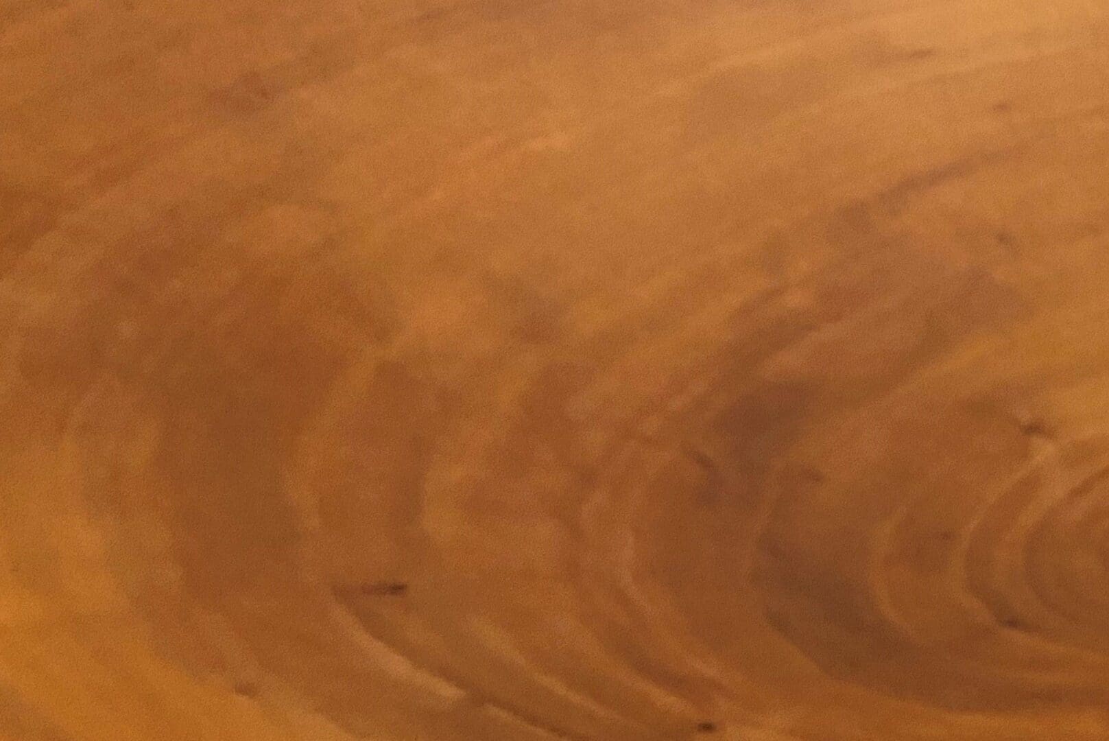 Wooden surface with circular grain pattern.